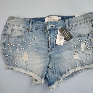 Torrid 10 shorts